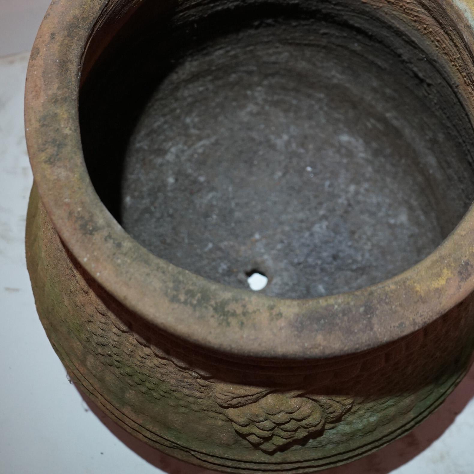 Antique Neoclassical Terra Cotta Garden Urn Patio Planter C1910 4