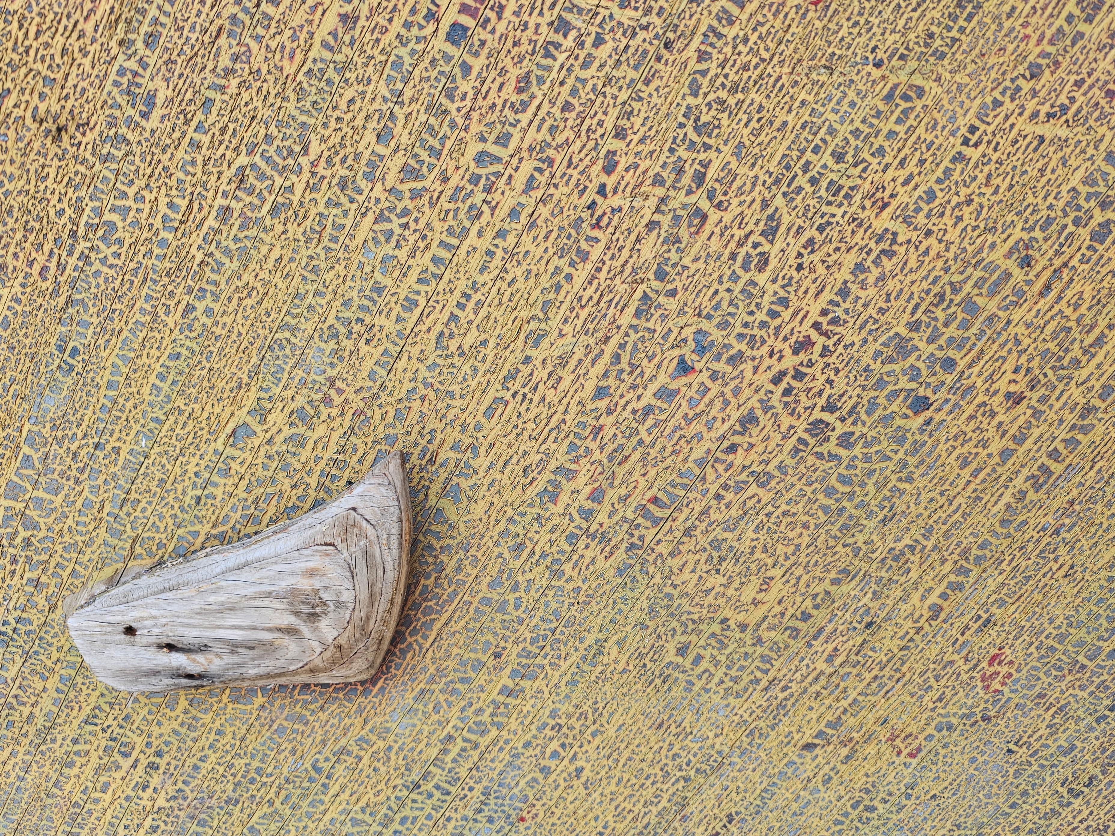 flounder underside