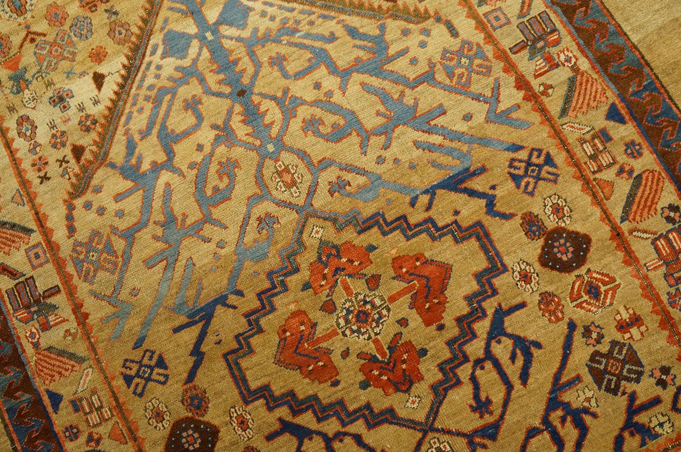 19th Century N.W. Persian Carpet ( 5'6