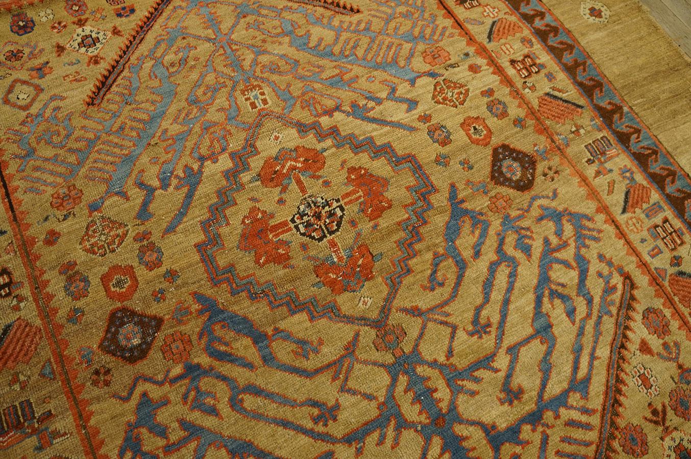 19th Century N.W. Persian Carpet ( 5'6