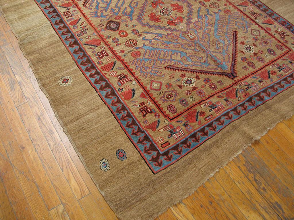 19th Century N.W. Persian Carpet ( 5'6