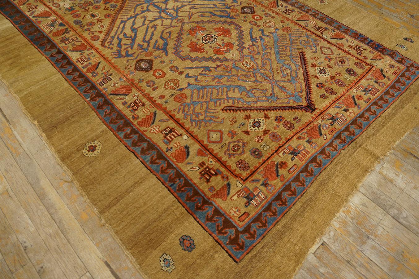Wool 19th Century N.W. Persian Carpet ( 5'6