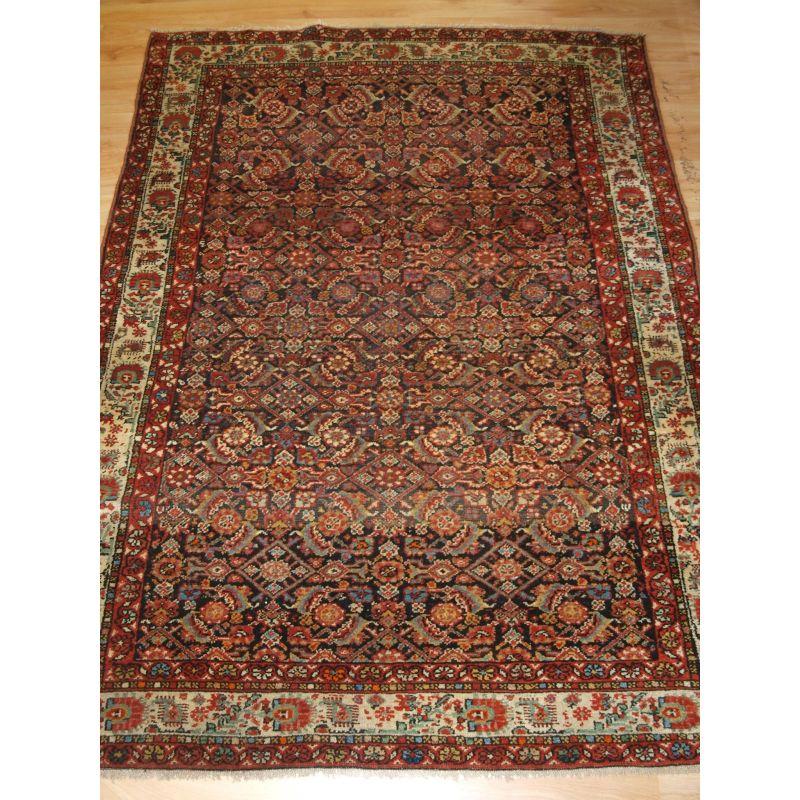Antique North West Persian rug from the town of Malayer, the rug has an all over herati design on a dark indigo blue ground.

The rug is well drawn with pleasing colour, the ivory coloured border complements the rug well and is of an interesting