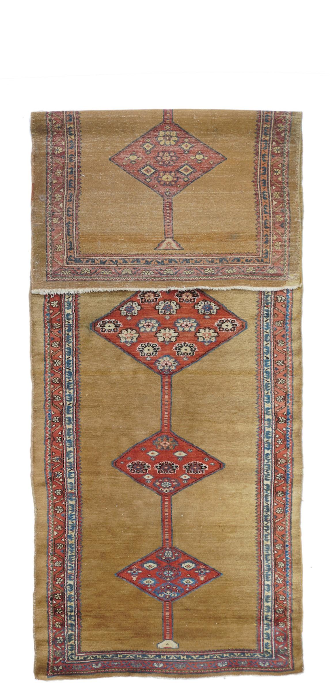 Antique North West runner 3'4'' x 10'1''. If it is camel-toned, it must be NW Persian! The mid-camel open field shows a pole medallion of five red lozenges enclosing various rosettes. Narrow red border with reversing fan palmettes. Medium rustic