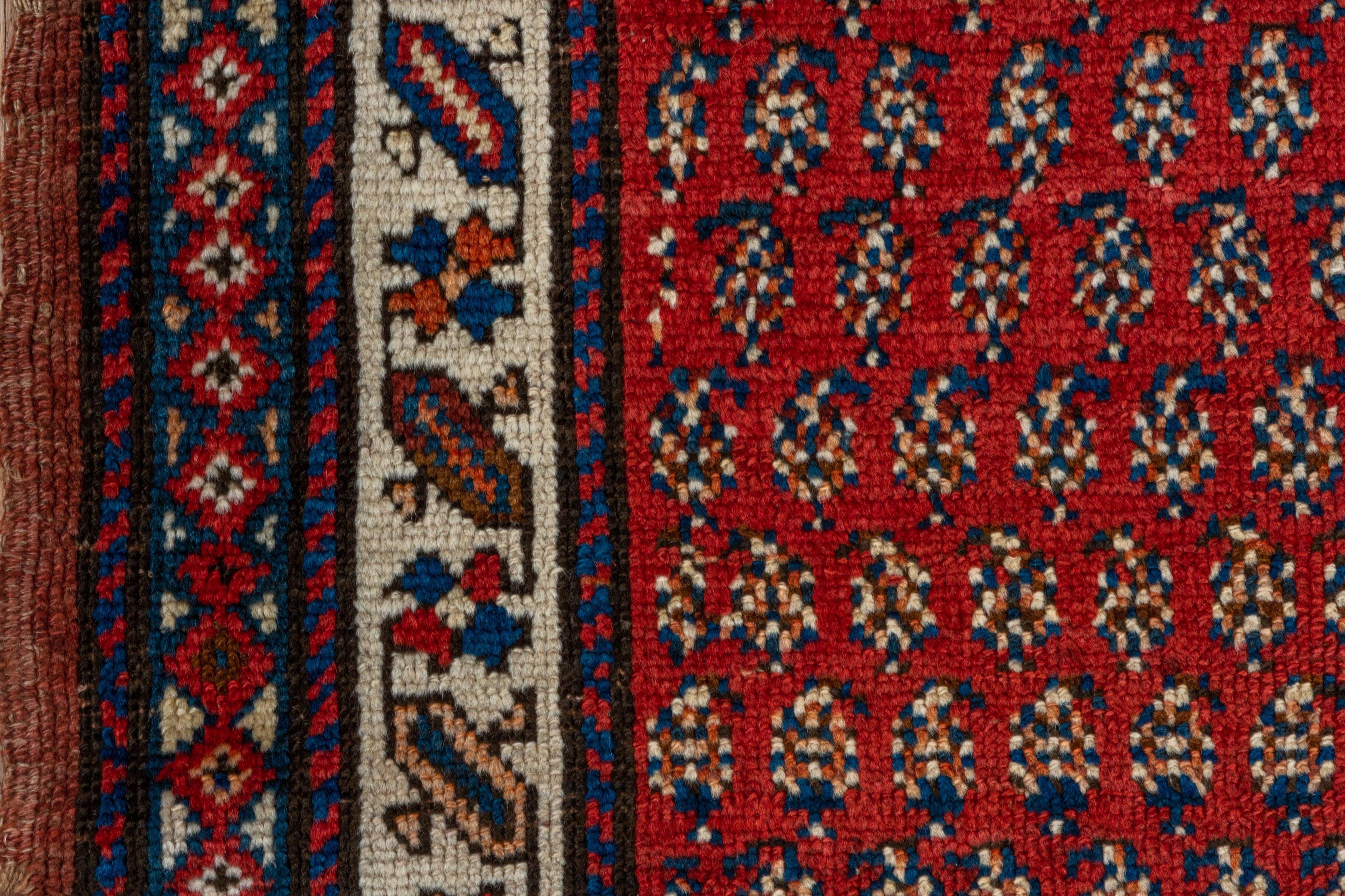 Le champ rouge saturé de ce tapis persan du Nord-Ouest contient des rangées décalées de minuscules botehs fleuris. L'étroite bordure crème présente des hachures et des barres inclinées, reliées par un méandre géométrique. Détails crème, bleus et