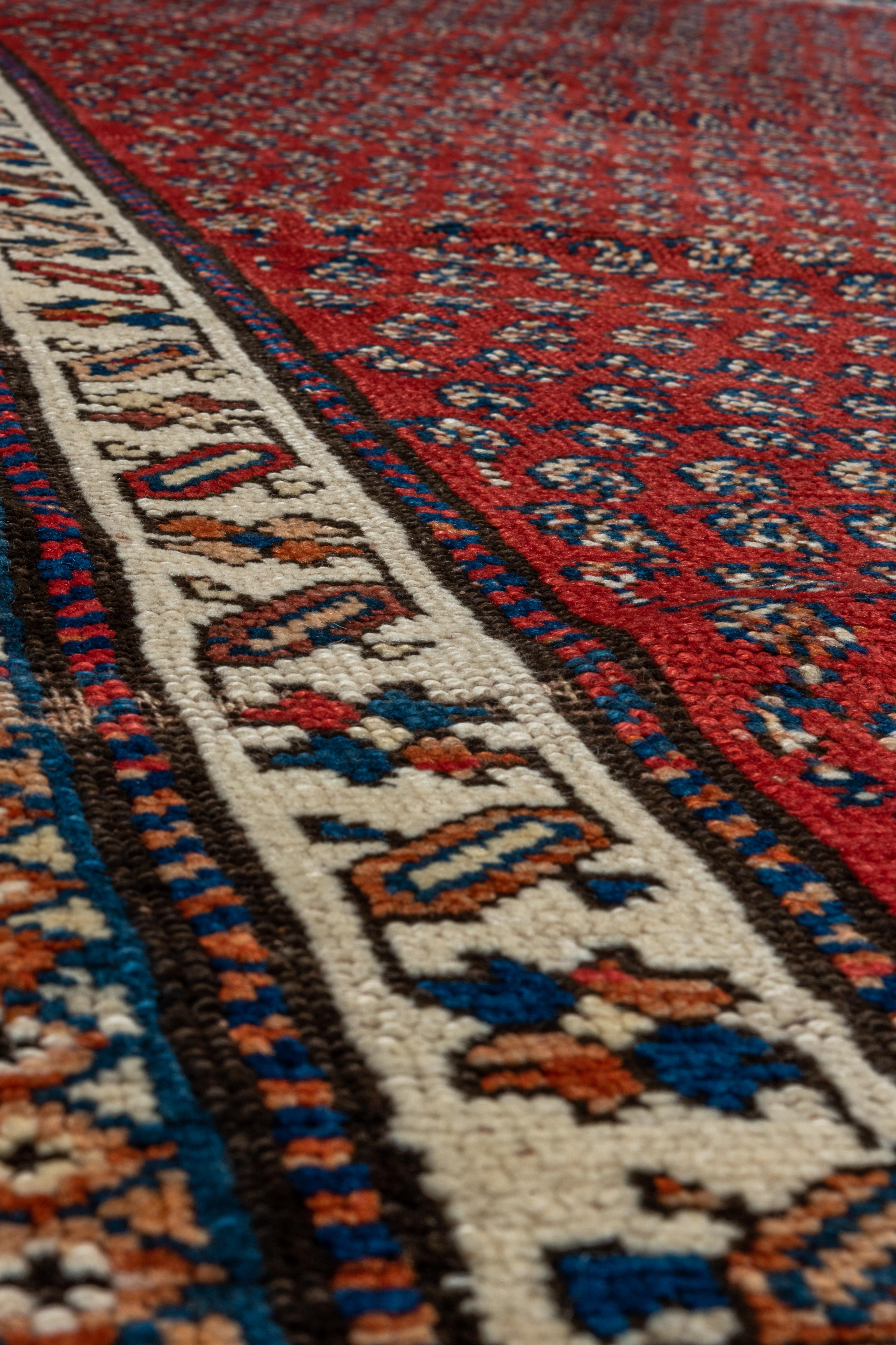 Noué à la main Tapis de couloir persan ancien du Nord-Ouest, terrain à motif cachemire rouge, poils hauts avec franges