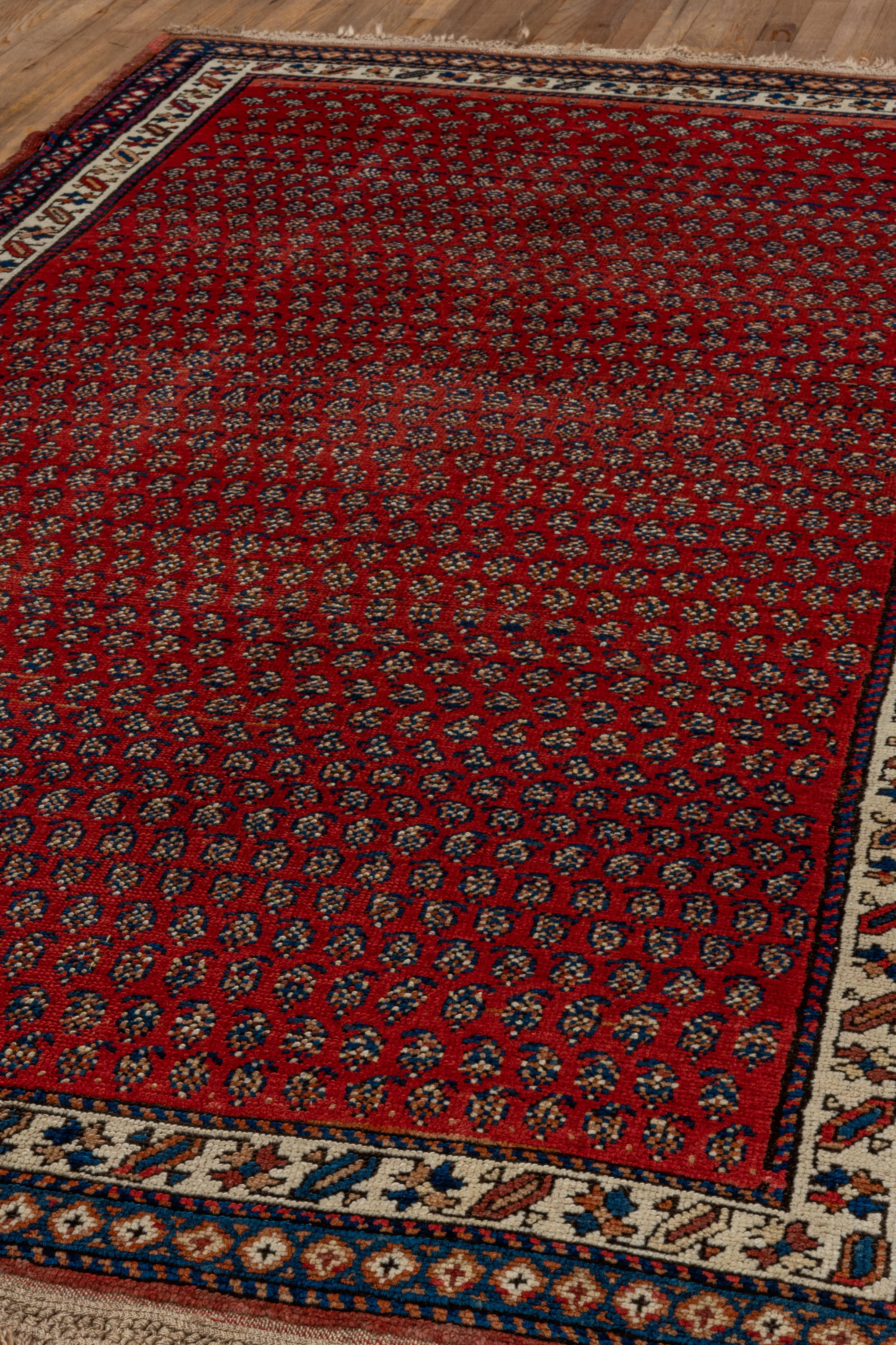 Tapis de couloir persan ancien du Nord-Ouest, terrain à motif cachemire rouge, poils hauts avec franges Bon état à New York, NY