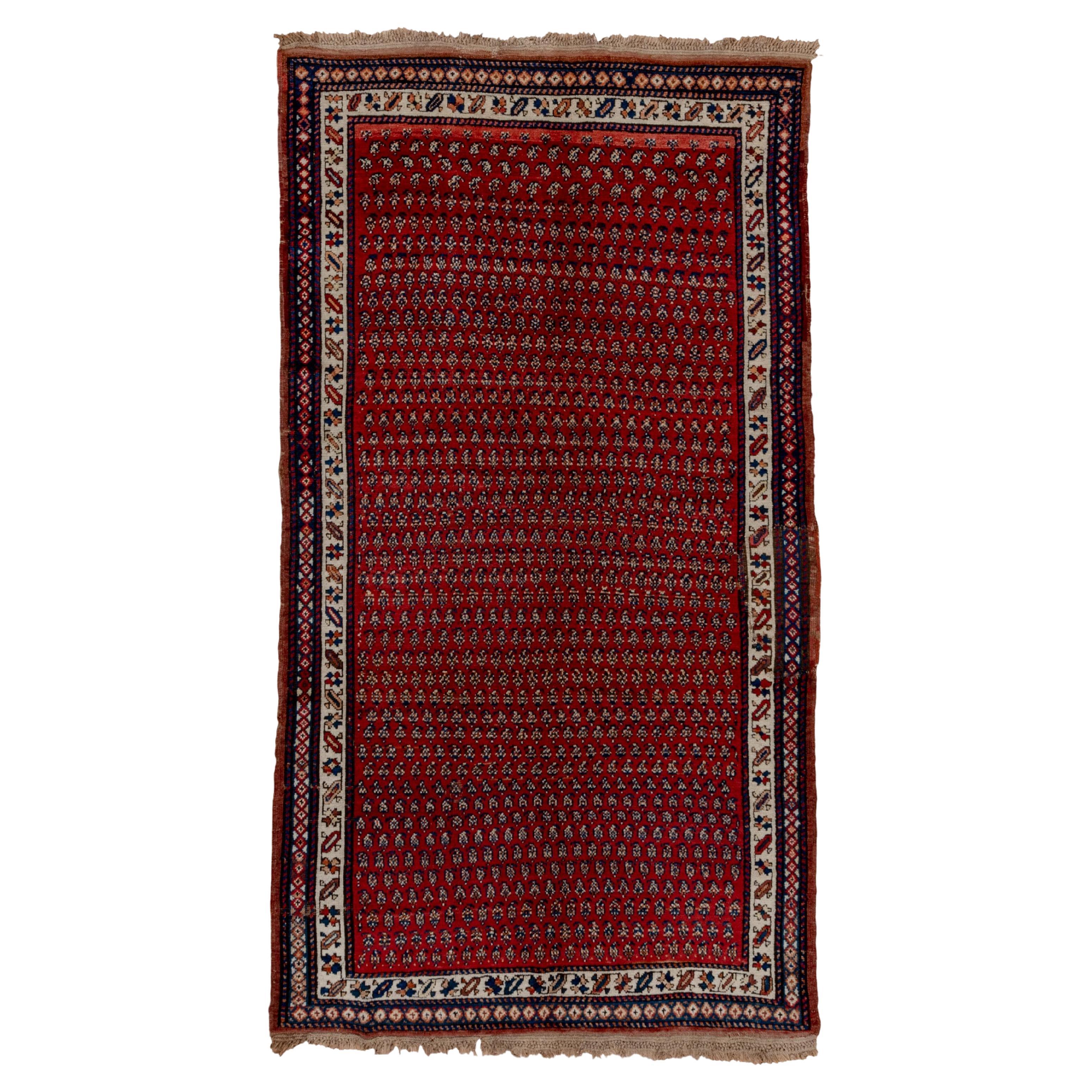 Tapis de couloir persan ancien du Nord-Ouest, terrain à motif cachemire rouge, poils hauts avec franges
