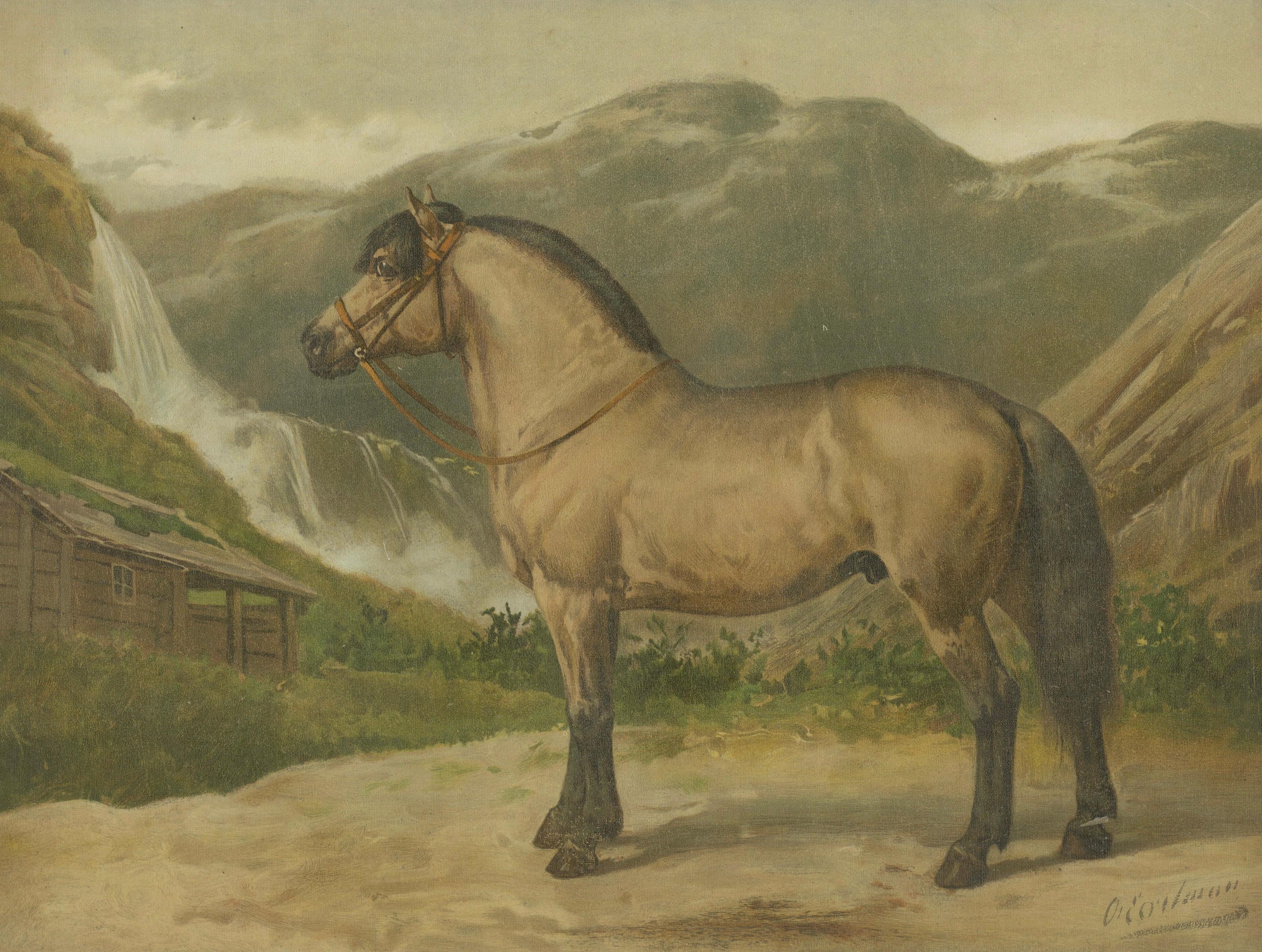 Antique Norwegian Horse Portrait 1898, Scandinavian Equestrian Lithograph