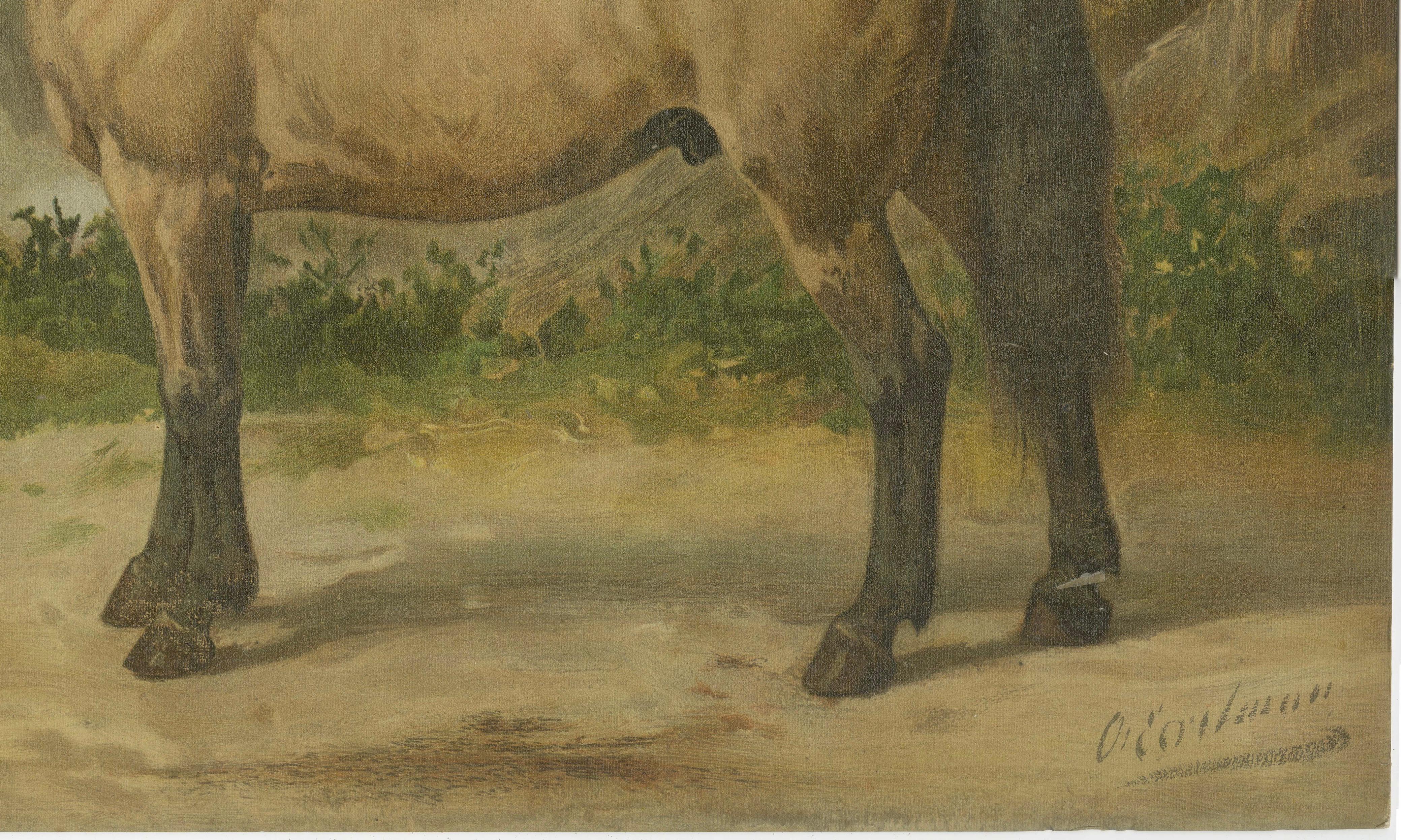 Antique Norwegian Horse Portrait 1898, Scandinavian Equestrian Lithograph