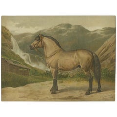 Antique Norwegian Horse Portrait 1898, Scandinavian Equestrian Lithograph