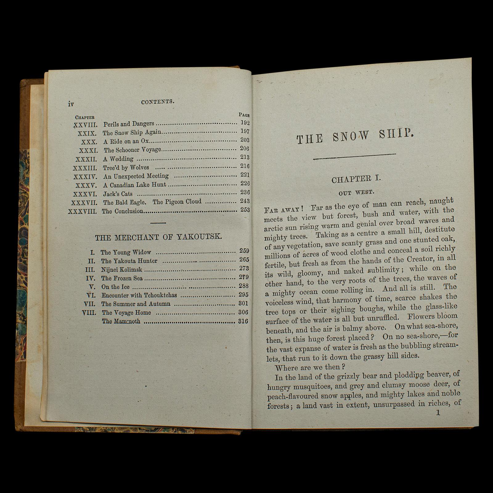 Antique Novel, The Snow Ship, Percy St John, English, Fiction, Victorian, C.1880 In Good Condition For Sale In Hele, Devon, GB