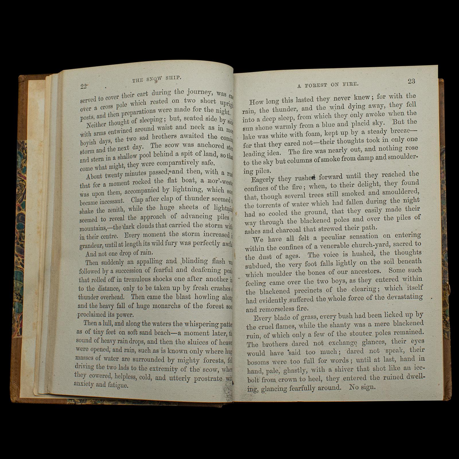 19th Century Antique Novel, The Snow Ship, Percy St John, English, Fiction, Victorian, C.1880 For Sale