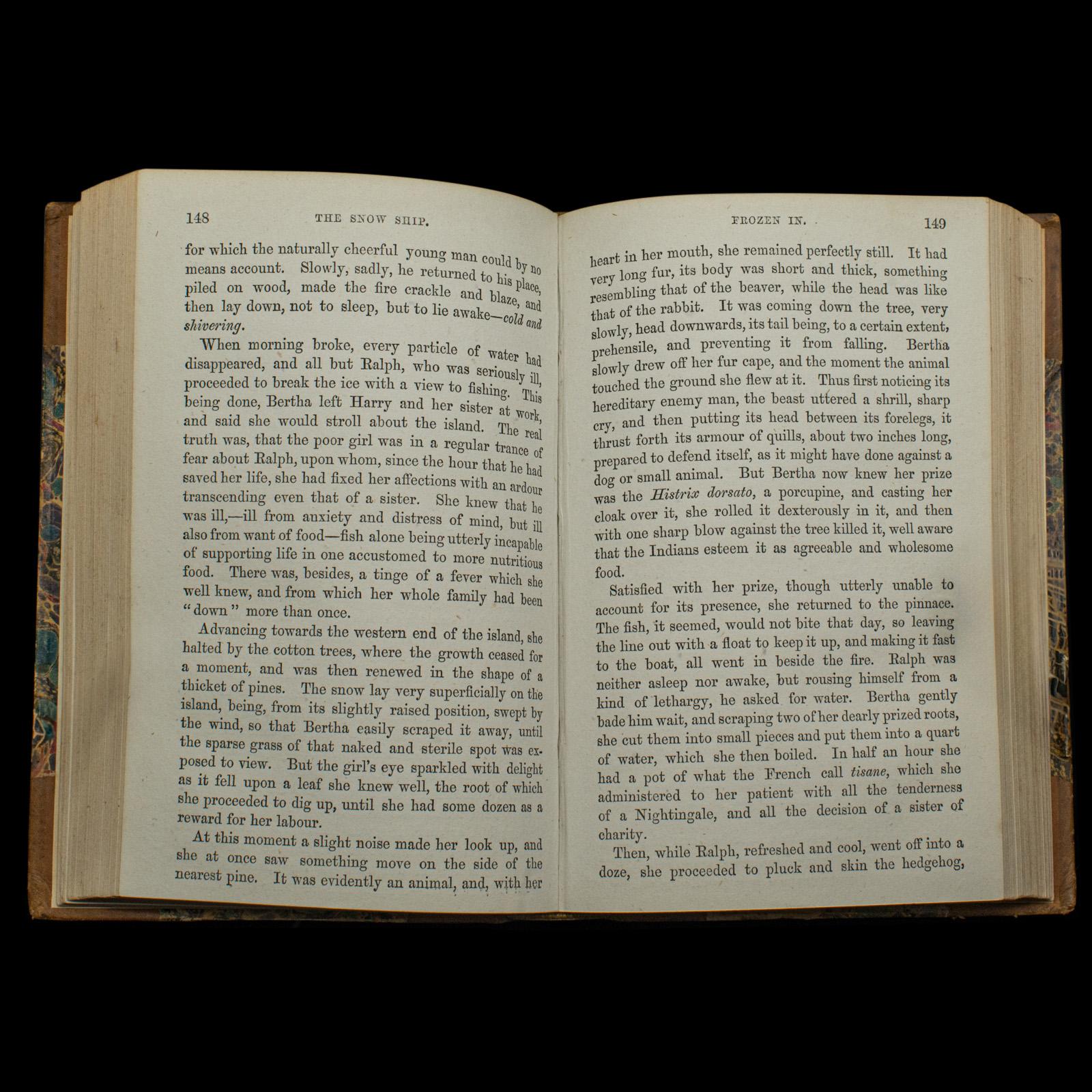 Antique Novel, The Snow Ship, Percy St John, English, Fiction, Victorian, C.1880 For Sale 2