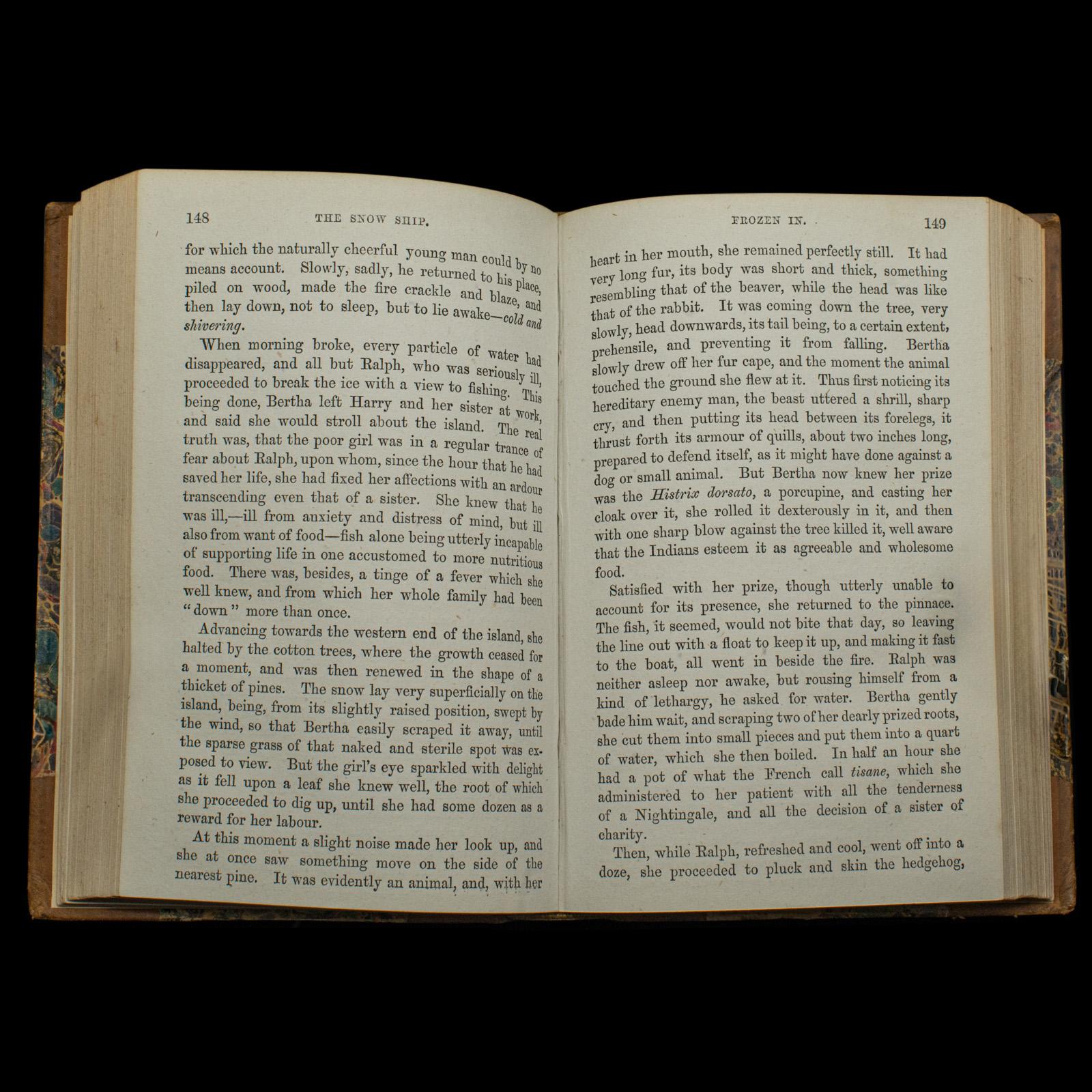 Antique Novel, The Snow Ship, Percy St John, English, Fiction, Victorian, C.1880 For Sale 2