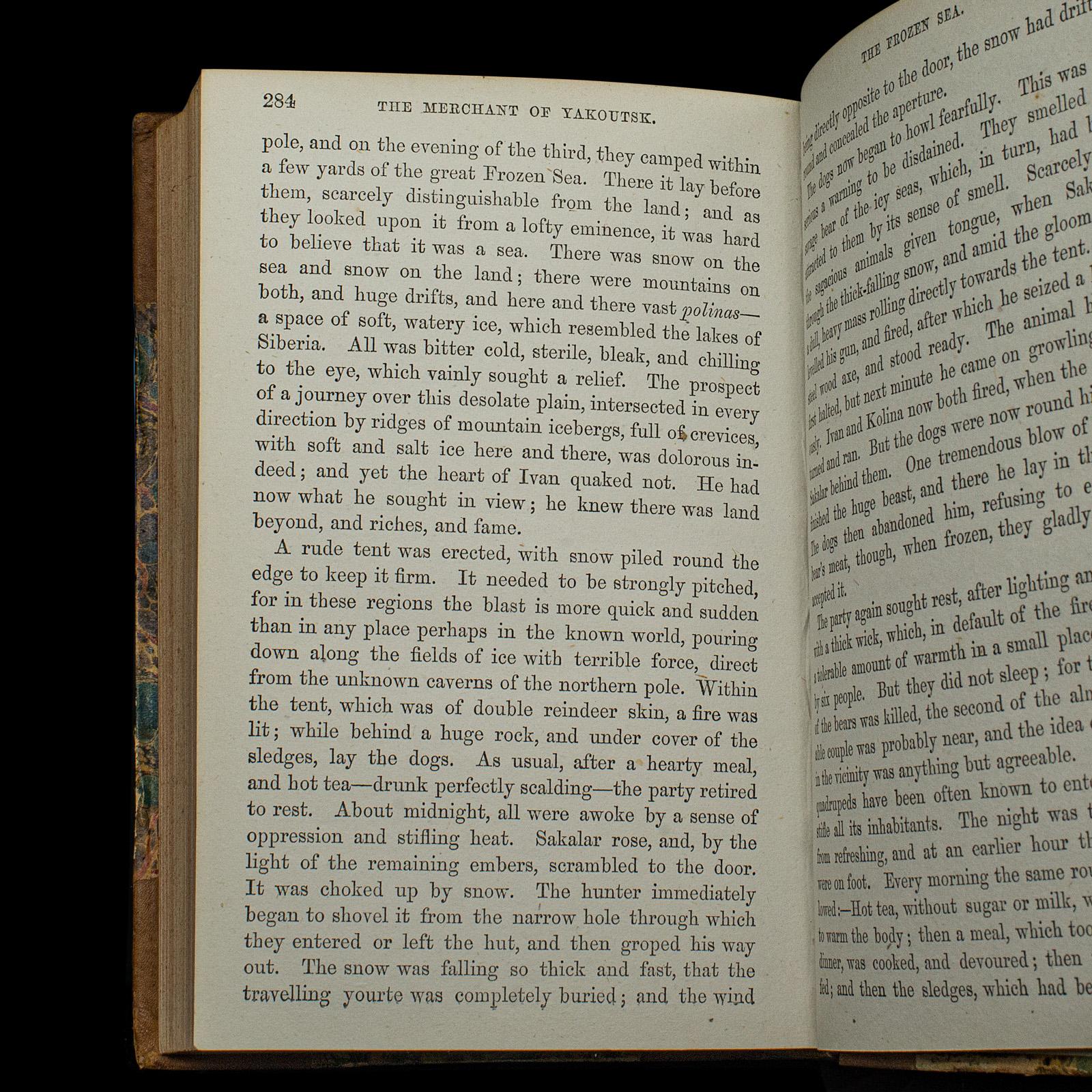 Antique Novel, The Snow Ship, Percy St John, English, Fiction, Victorian, C.1880 For Sale 3