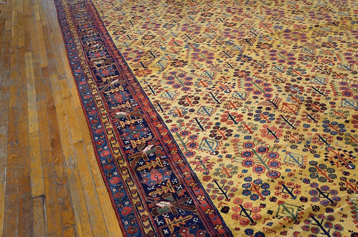 Wool Mid 19th Century NW Persian Carpet ( 12'2