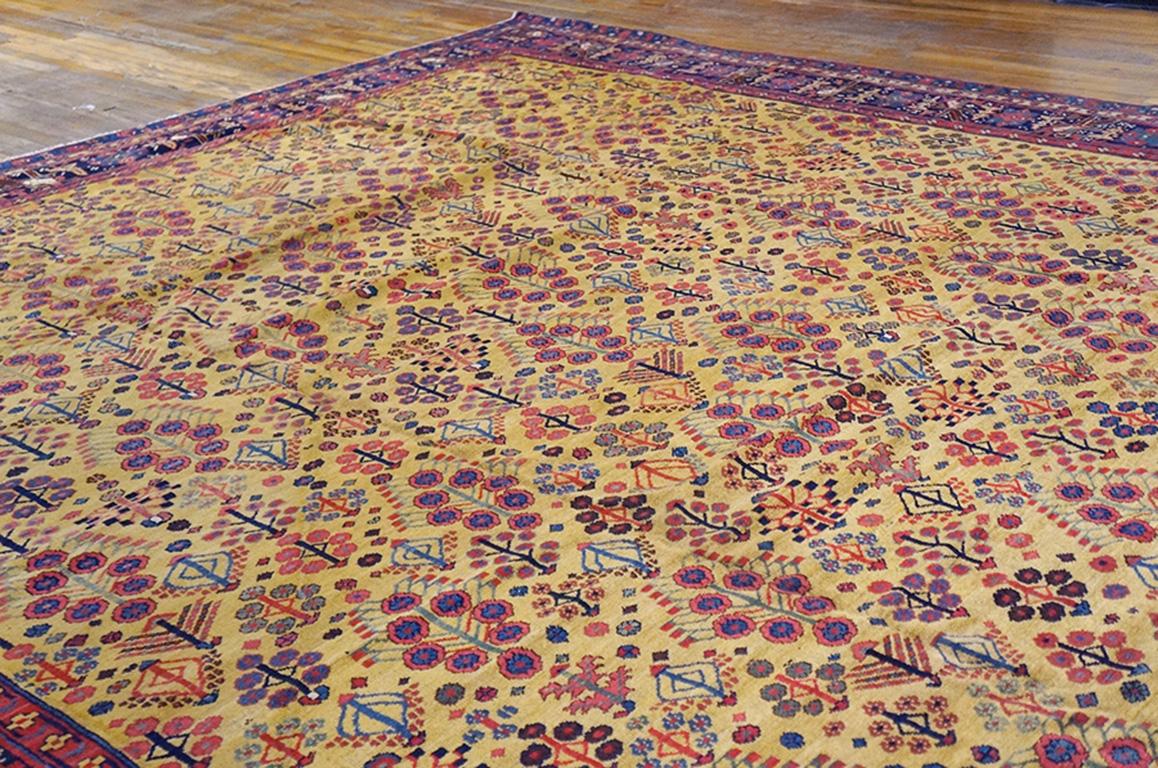 Mid 19th Century NW Persian Carpet ( 12'2