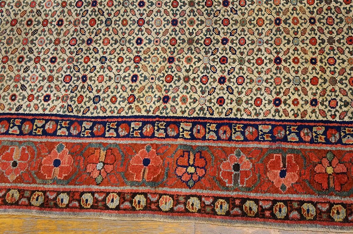 19th Century N.W. Persian Runner Carpet ( 3' x 14'6