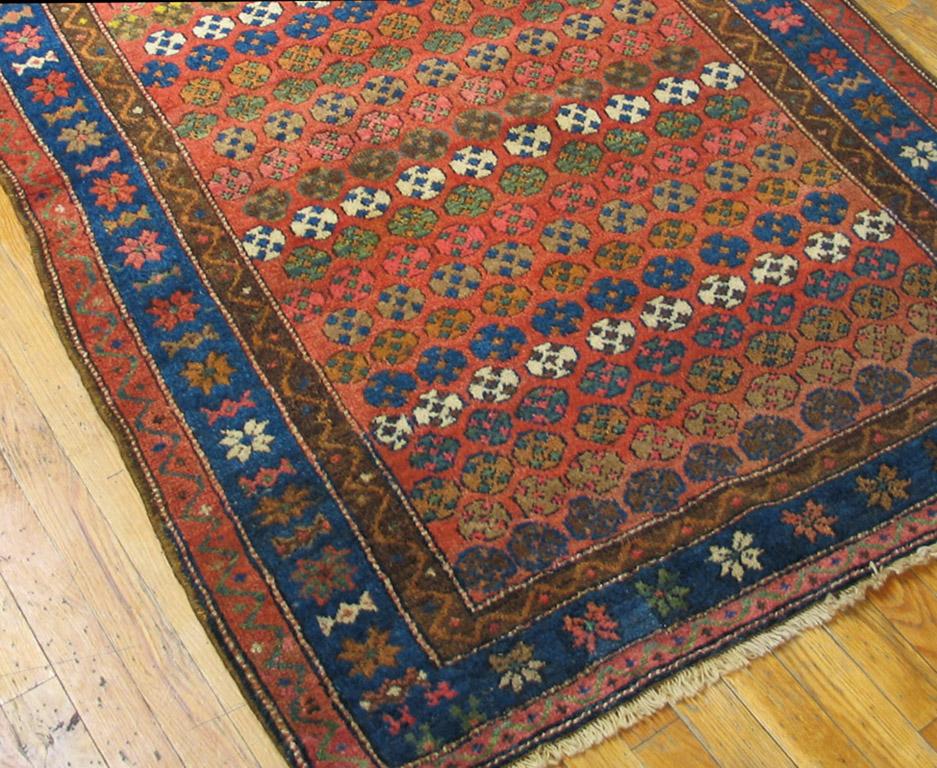 19th Century N.W. Persian Carpet ( 3'10