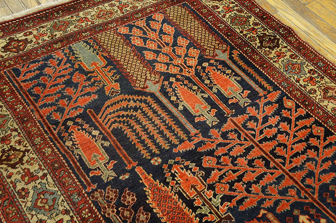 Early 20th Century N.W. Persian Carpet with 