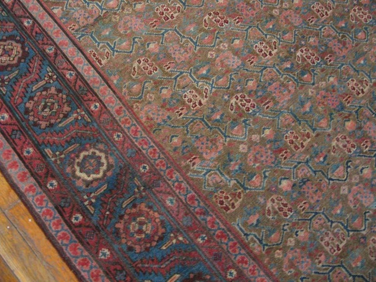 Antique NW Persian Rug For Sale at 1stDibs