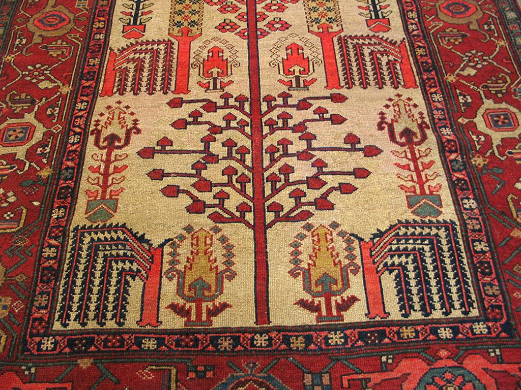 Mid 19th Century N.W. Persian Carpet ( 5'3