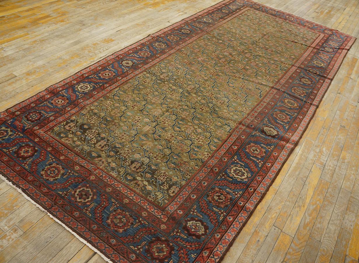 Wool 19th Century N.W. Persian Carpet ( 5' x 10'7