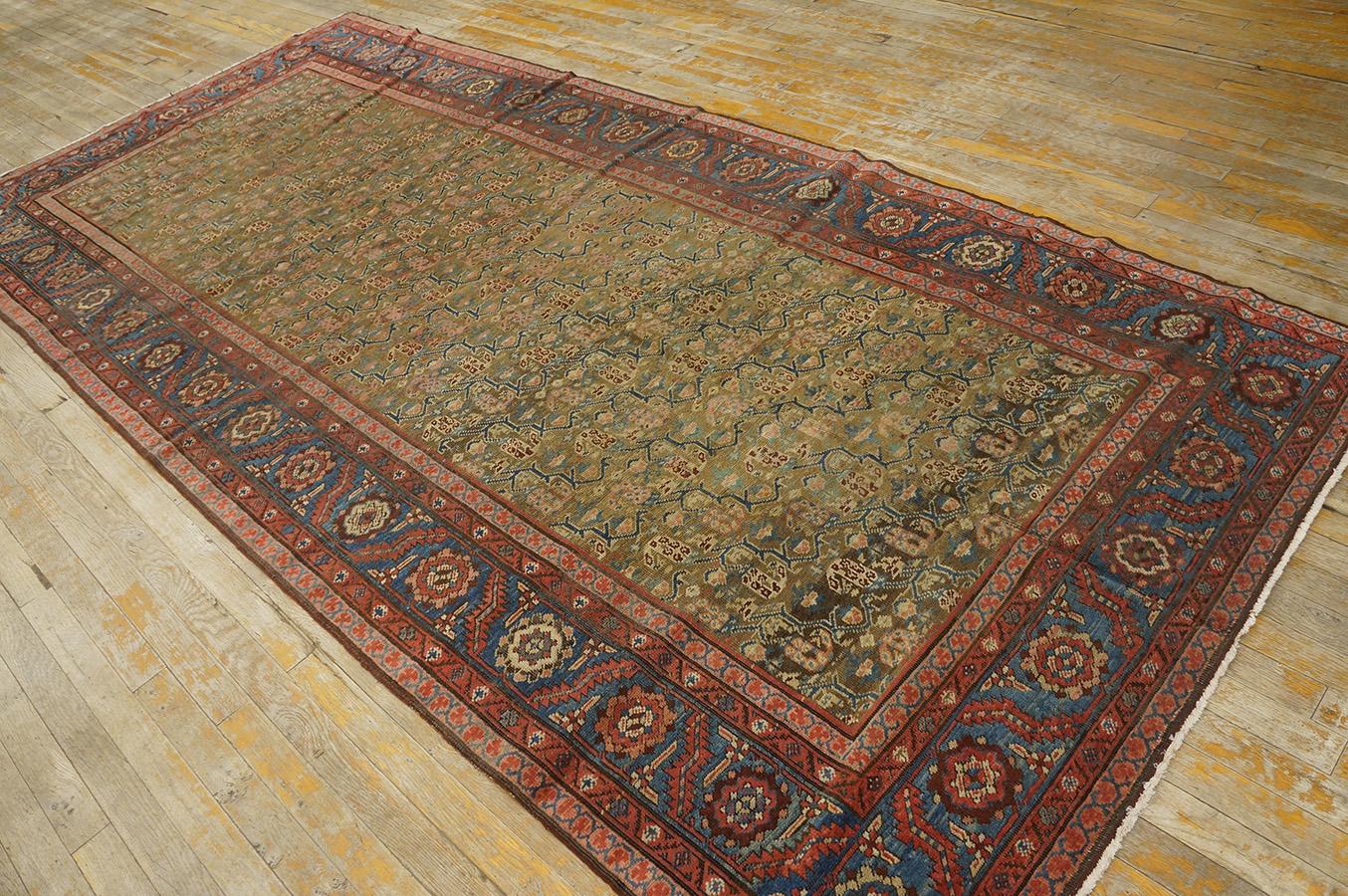 19th Century N.W. Persian Carpet ( 5' x 10'7