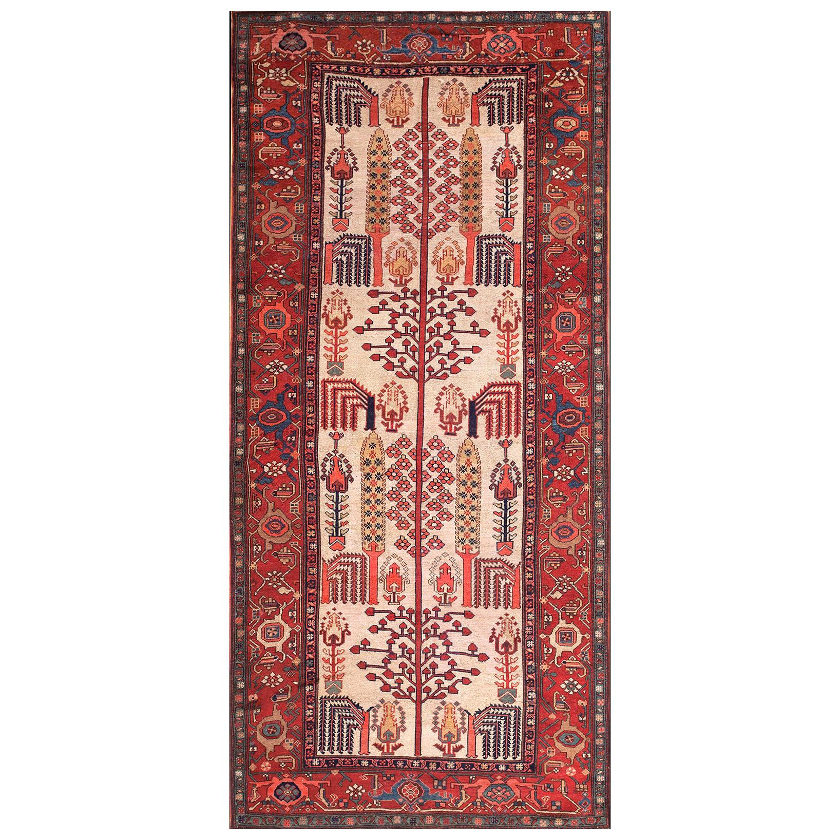 Mid 19th Century N.W. Persian Carpet ( 5'3"x 11'2" - 160 x 340 ) For Sale