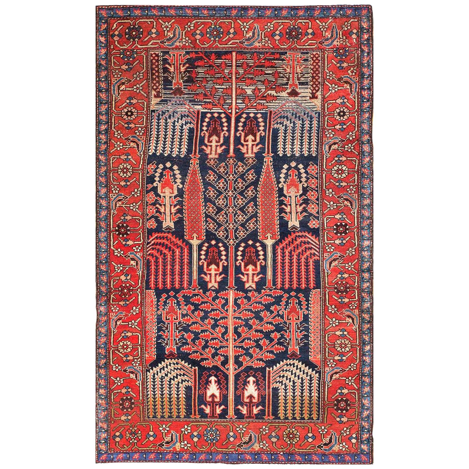 Début du 20ème siècle NW Persan avec "Bid Majnoun" Design ( 4'6" x 7' - 137 x 213) en vente