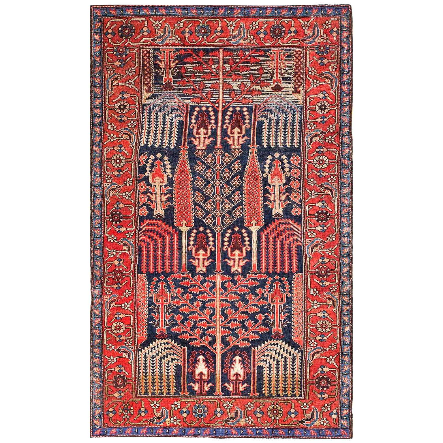 Early 20th Century NW Persian with "Bid Majnoun" Design ( 4'6" x 7' - 137 x 213)