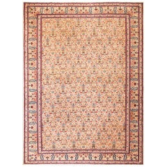 Début du 20e siècle N.W. Tapis persan ( 10'3" x 14' - 312 x 427 )