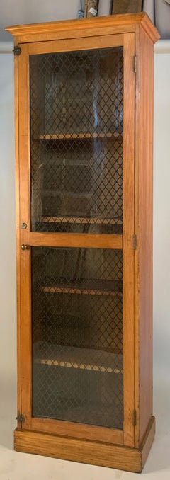 Antique Oak Cabinet with Wire Cage Glass Door
