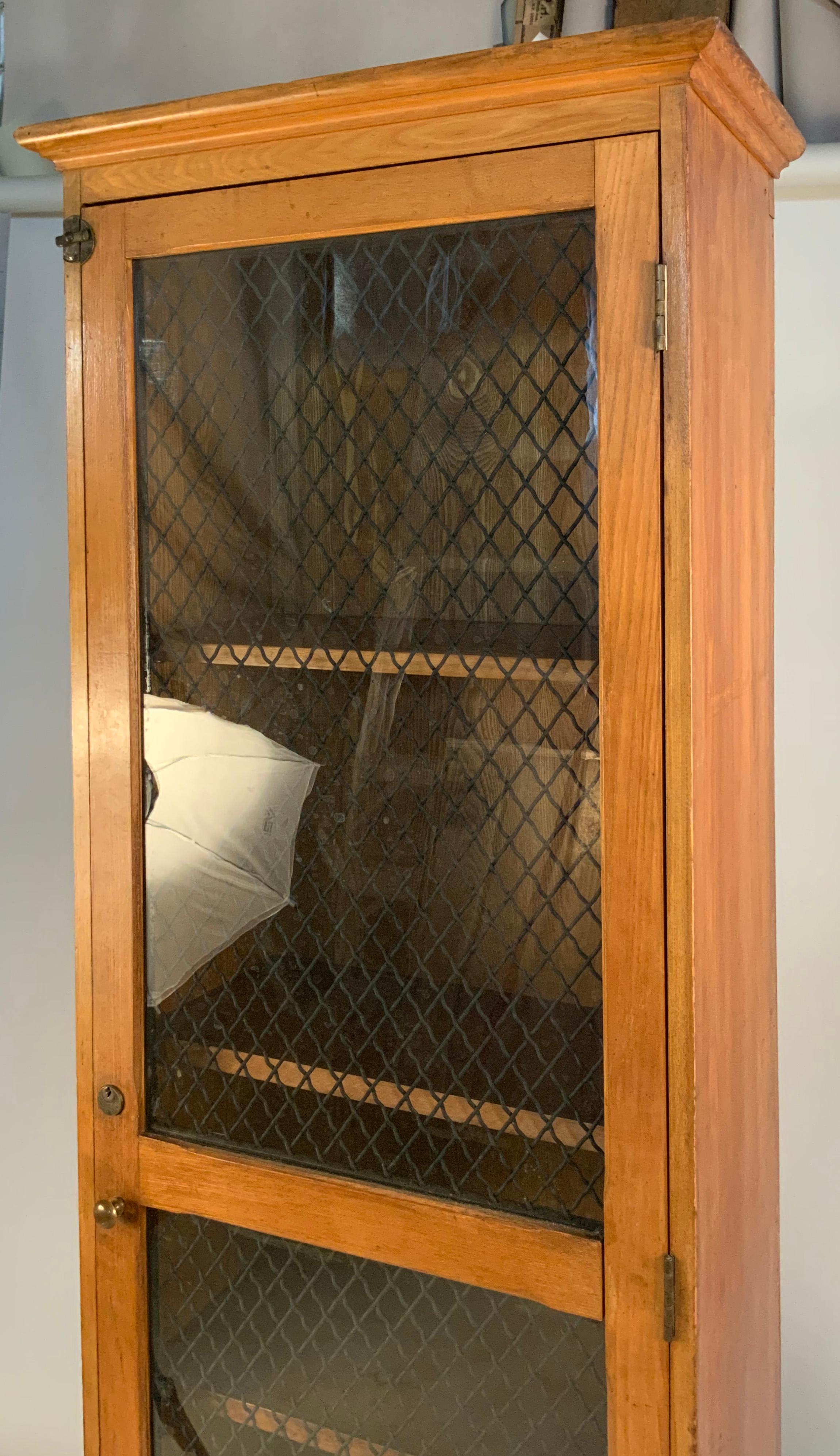 American Antique Oak Cabinet with Wire Cage Glass Door