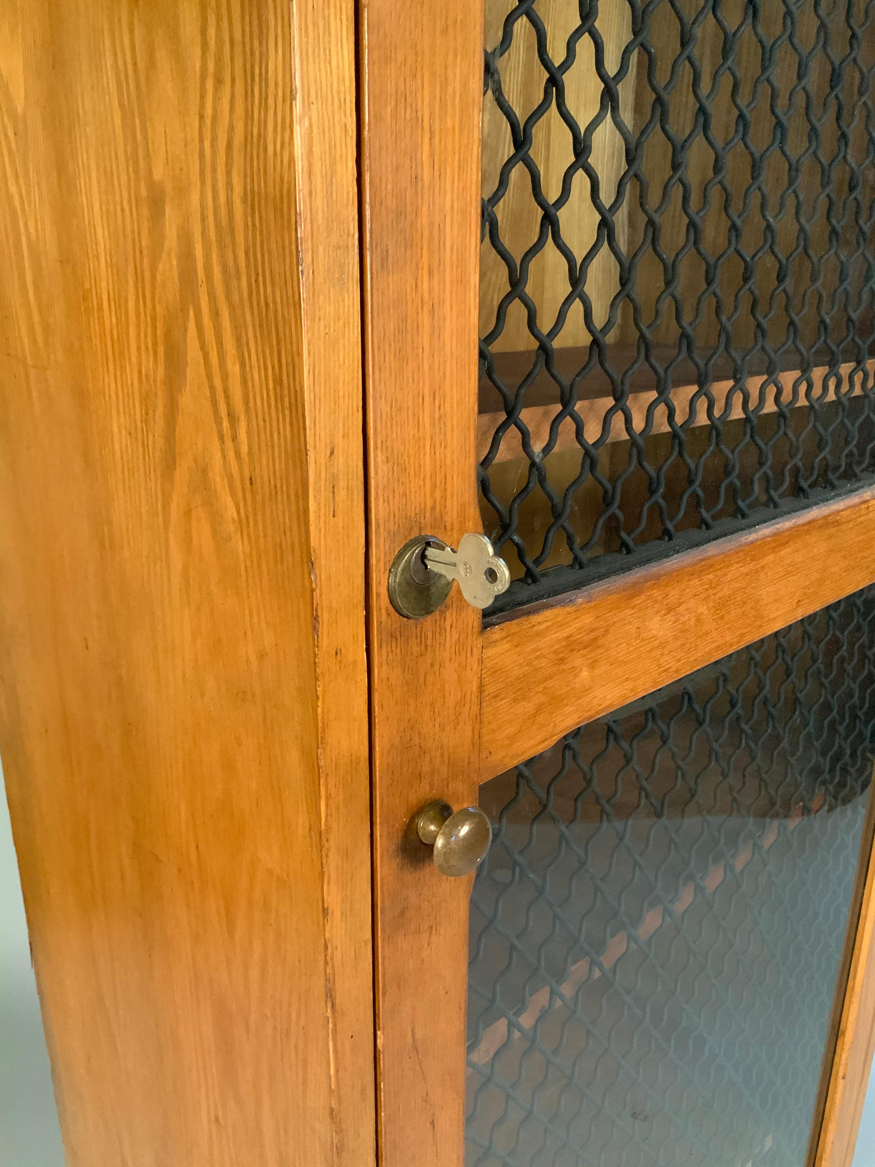 Antique Oak Cabinet with Wire Cage Glass Door 3