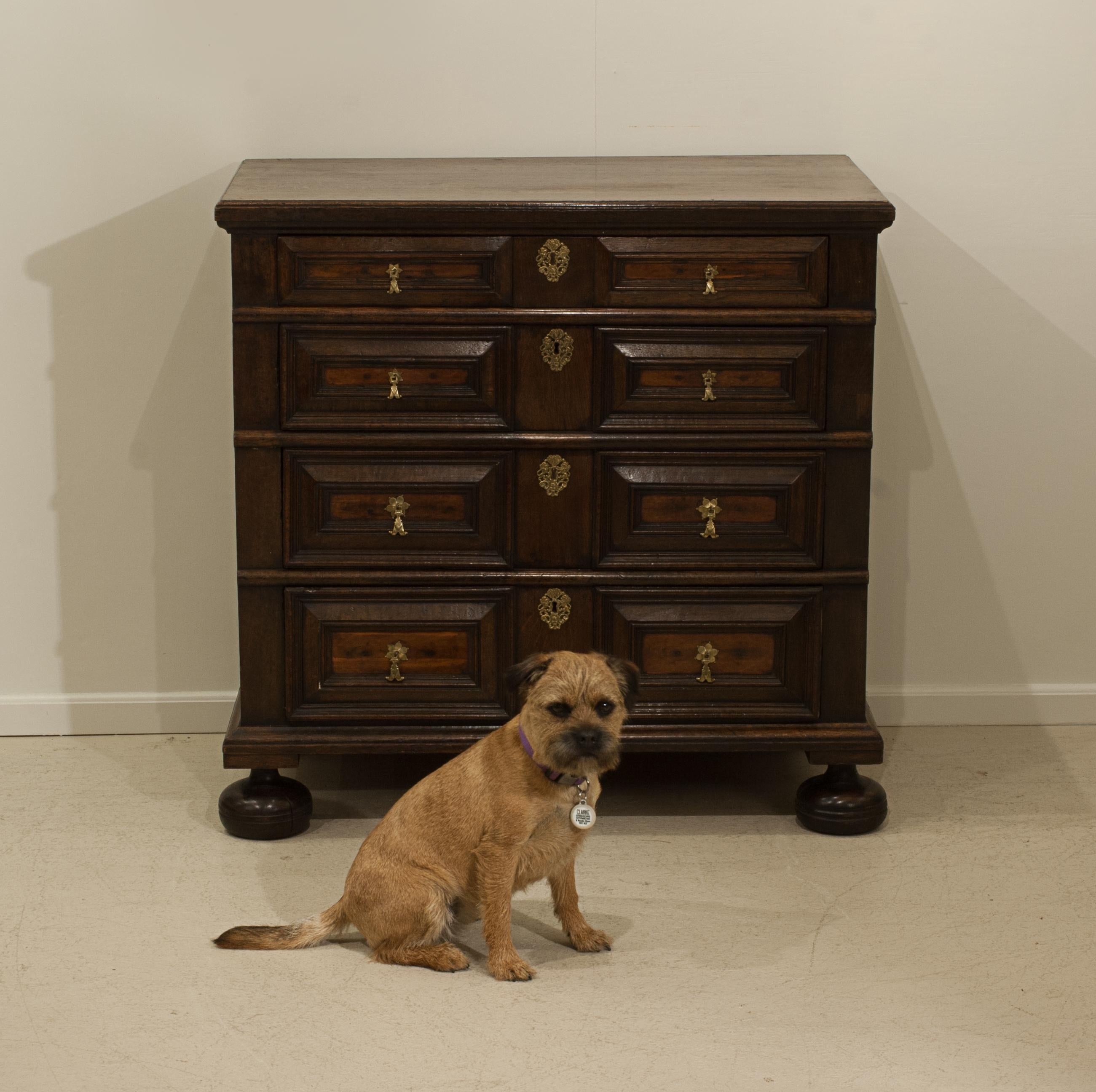 British Antique Oak Chest of Drawers For Sale