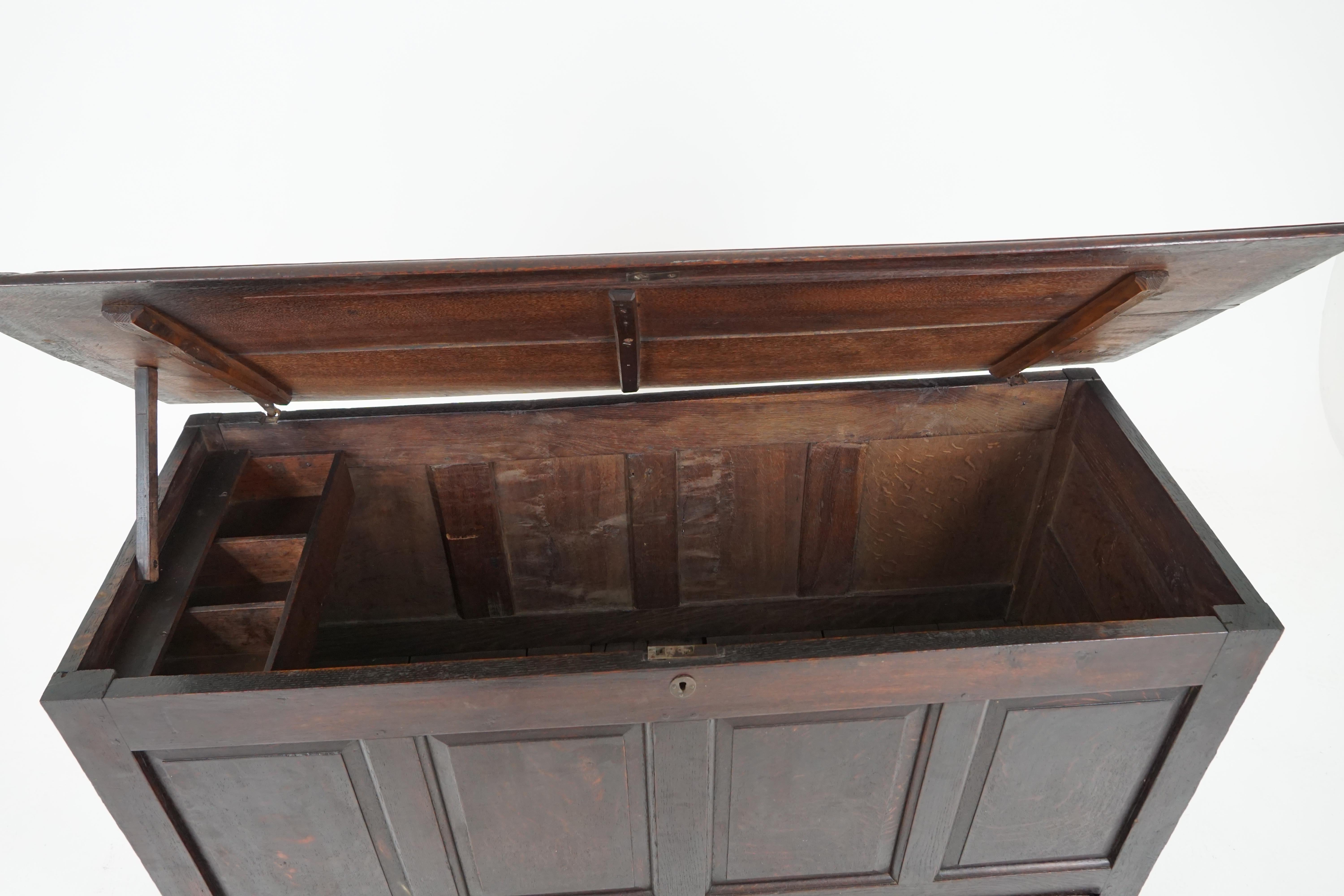 Scottish Antique Oak Coffer, Large 18th Century Paneled Chest, Scotland, 1780