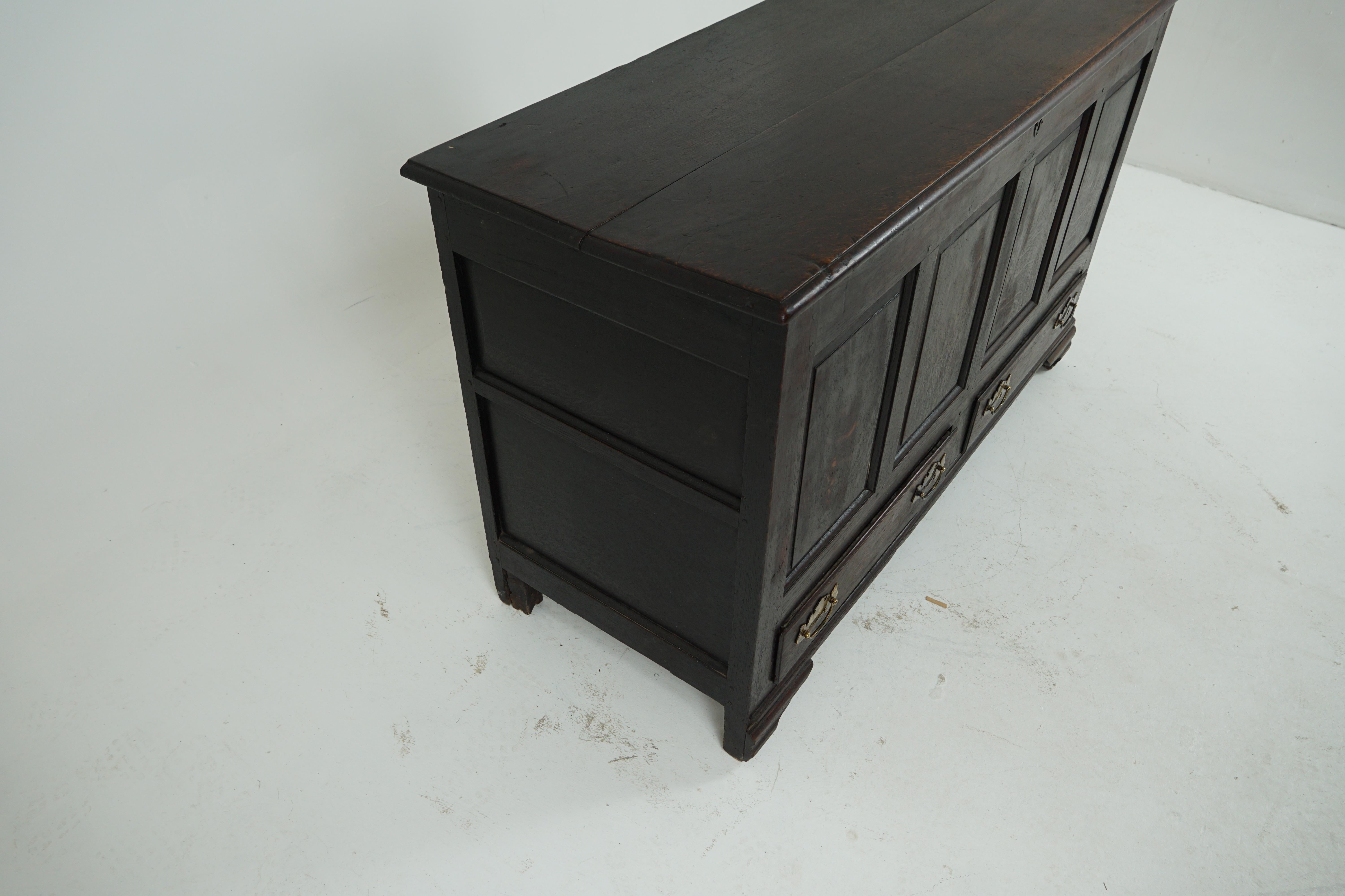 Late 18th Century Antique Oak Coffer, Large 18th Century Paneled Chest, Scotland, 1780