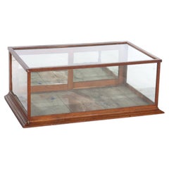 Antique Oak Country Store Counter Top Two Door Display Case C1900