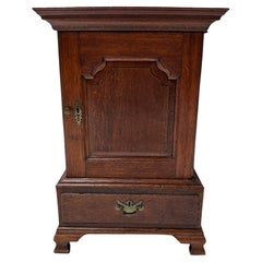 Antique Oak English Miniature Art Cabinet with Fourteen Inner Drawers, 1840s