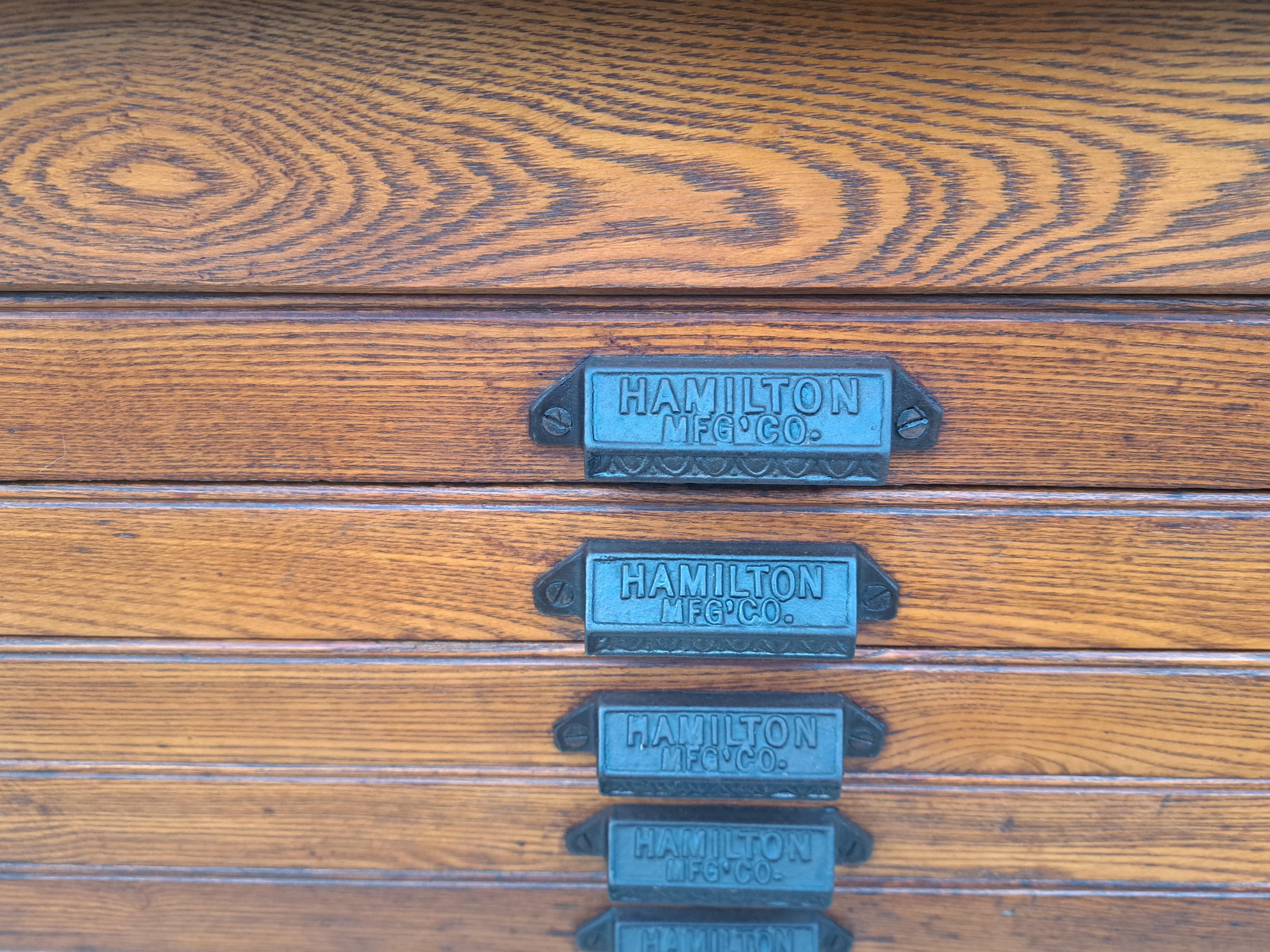 Cartella piatta a 12 cassetti in Oak antico in vendita 5