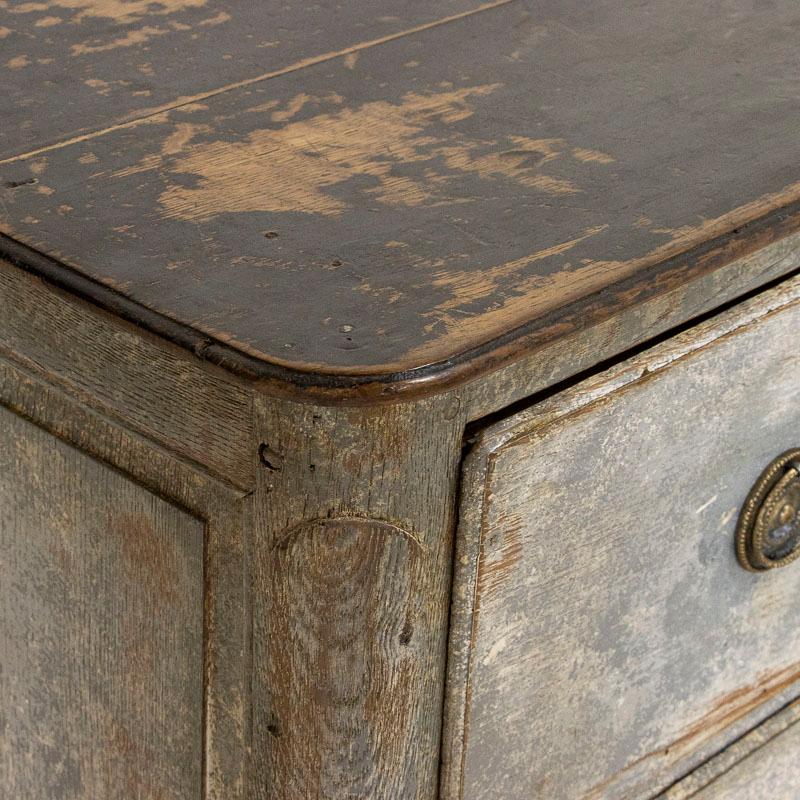 Antique Oak French Country Large Chest of Three Drawers Painted Grey 5