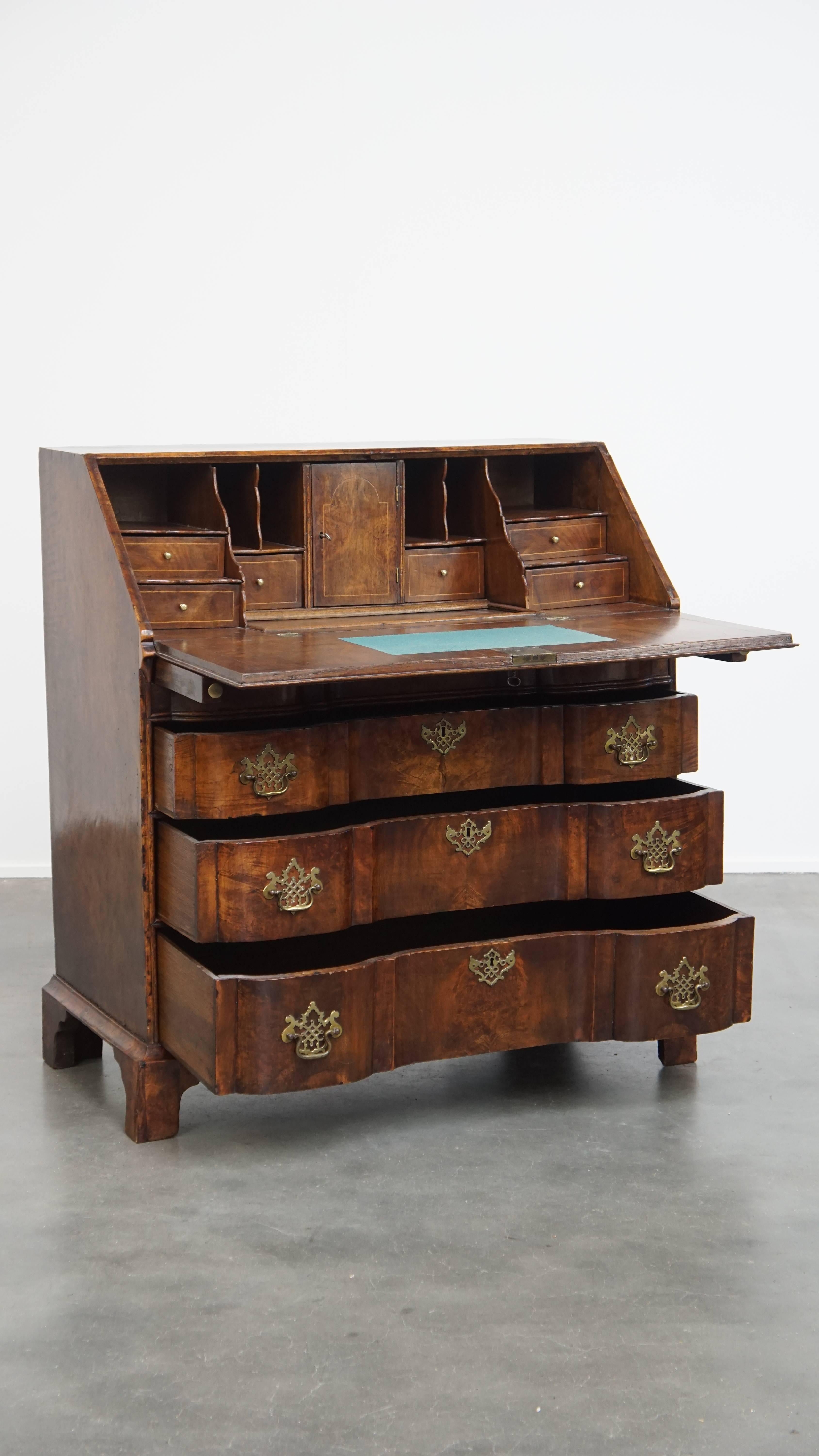 Offered here this beautiful large antique oak secretary desk / chest of drawers / bureau with burl walnut veneer from the late 18th century.

This luxurious and versatile oak secretary is beautifully veneered with burl walnut, giving it its stunning