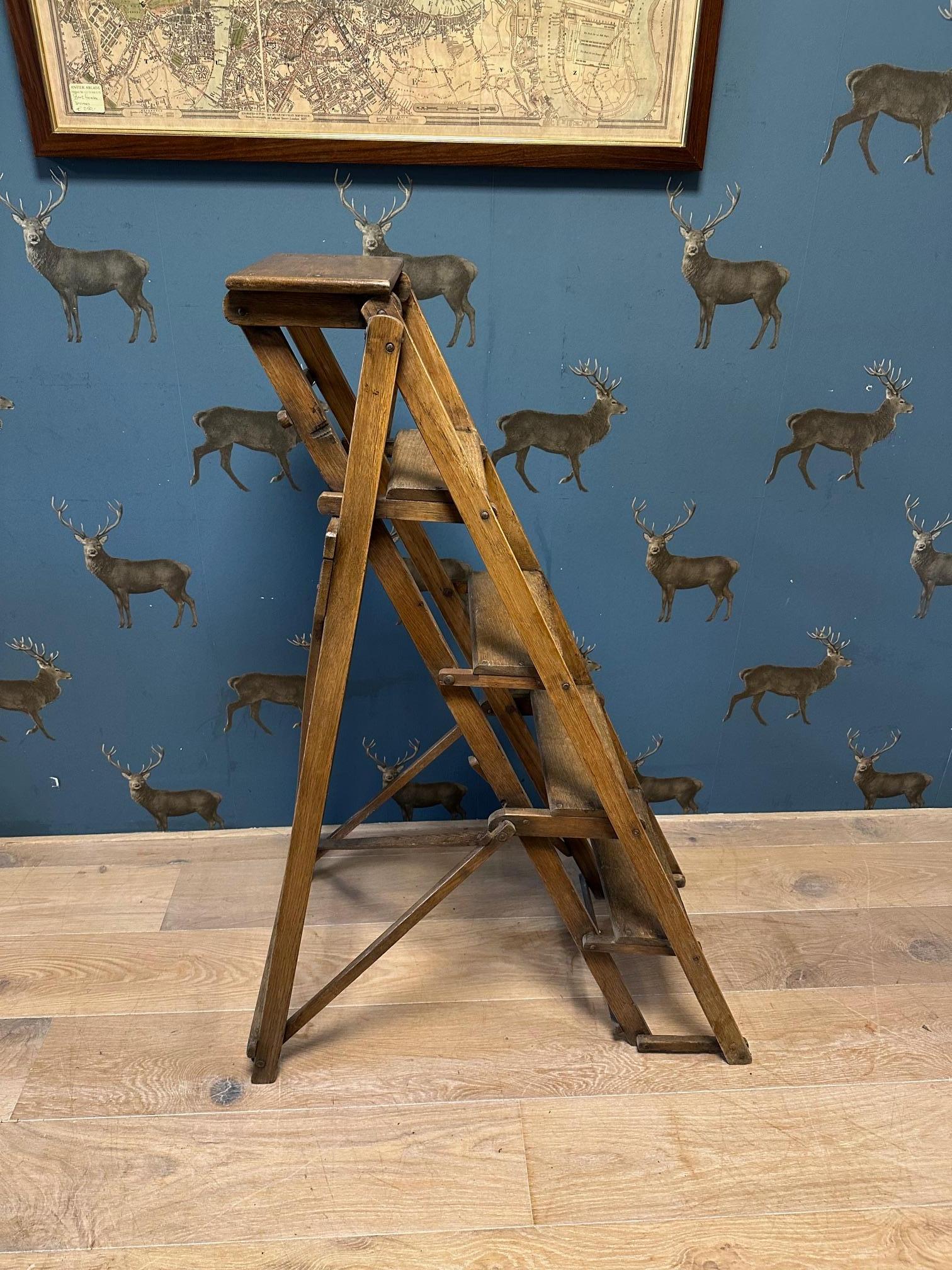 antike Eichenstufen (Englisch) im Angebot