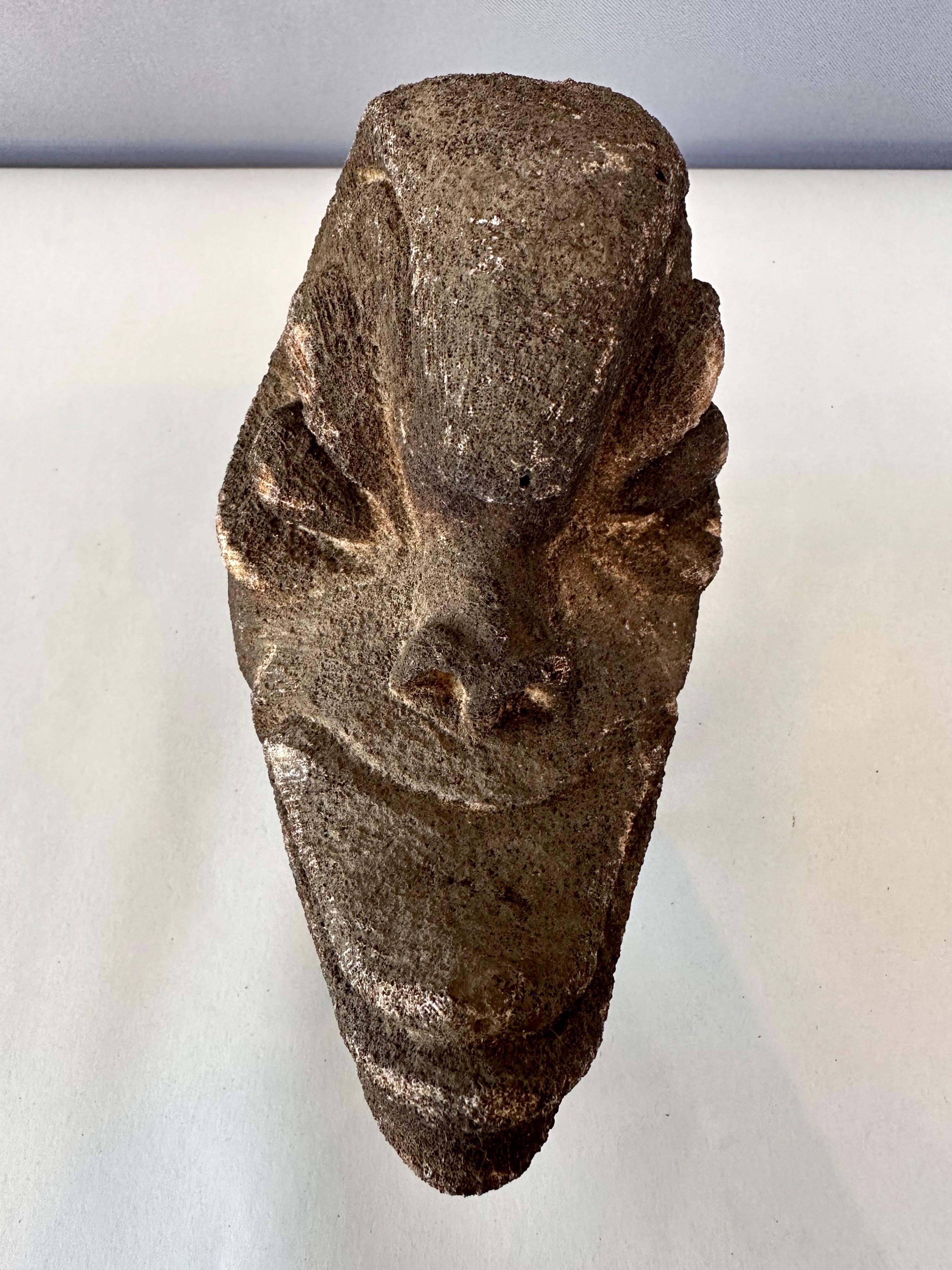 Antique Oceania Blackened Carved Coral Ancestor’s Head #831, 19th Century 5