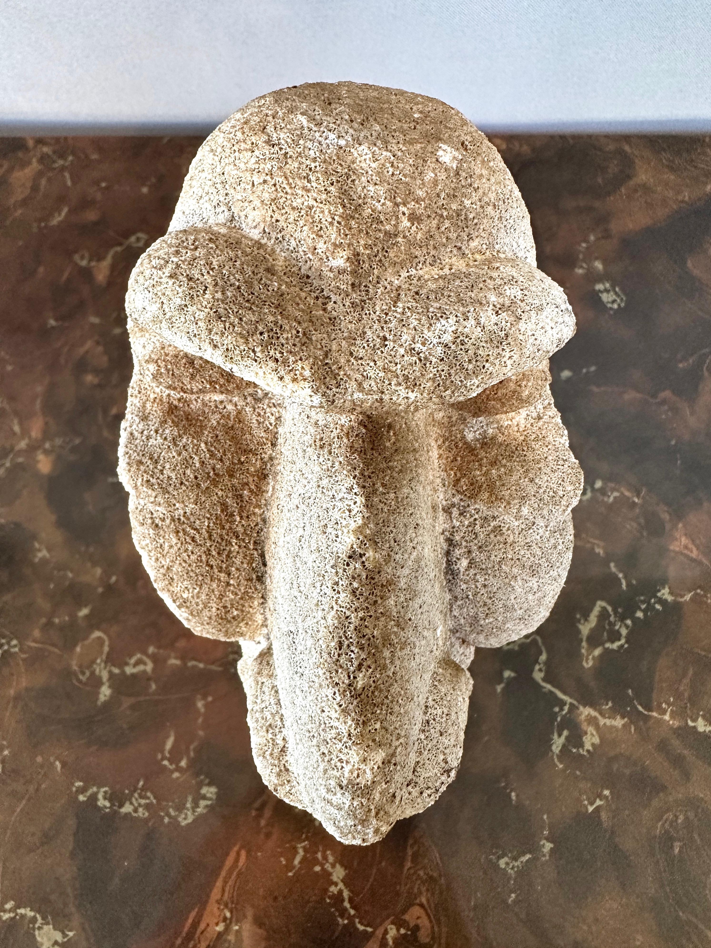 Antique Oceania White Carved Coral Ancestor’s Head #824, 19th Century 6