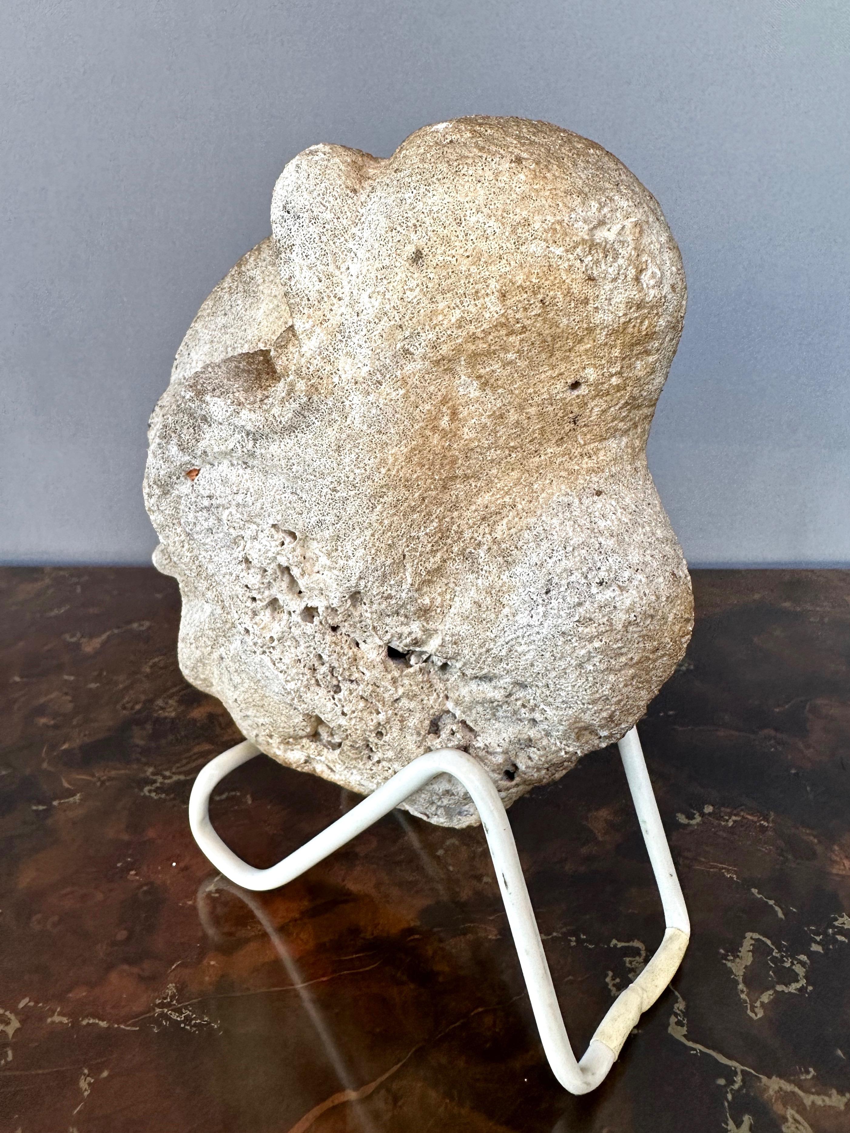 Antique Oceania White Carved Coral Ancestor’s Head #824, 19th Century In Good Condition In San Francisco, CA