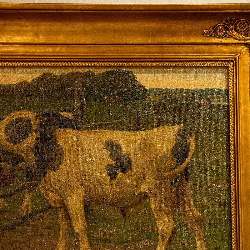 This delightful oil on canvas painting reflects cows grazing along a fence line. It is a bucolic scene and a traditional subject for the Danish painter, Paul Stellenger (whose signature is seen in the lower right corner). The canvas will benefit