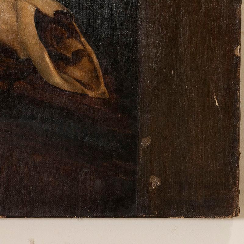 painted deer skull